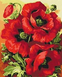 Rote Mohnblumen Malen Nach Zahlen