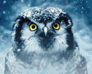 Eine Eule im Wintersturm Malen Nach Zahlen