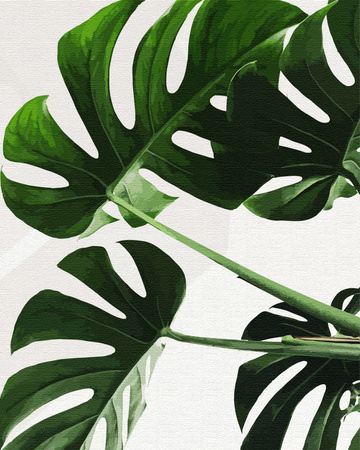 Naturblätter Malen Nach Zahlen