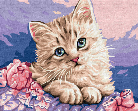 Blauäugiges Kätzchen Malen Nach Zahlen