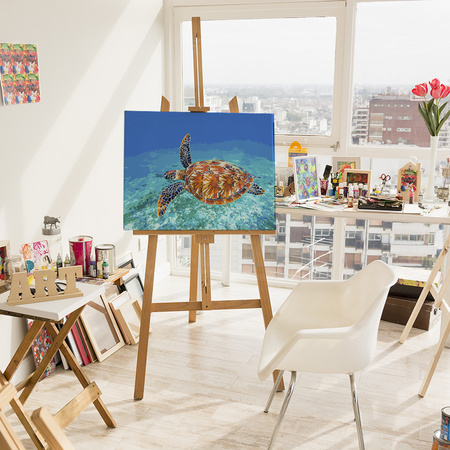 Schildkröte im Meer Malen Nach Zahlen