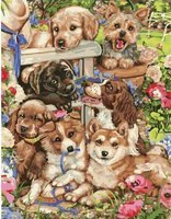 Freunde