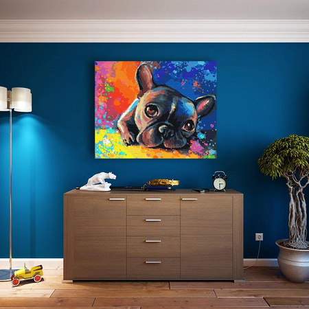 Bunte Bulldogge Malen Nach Zahlen