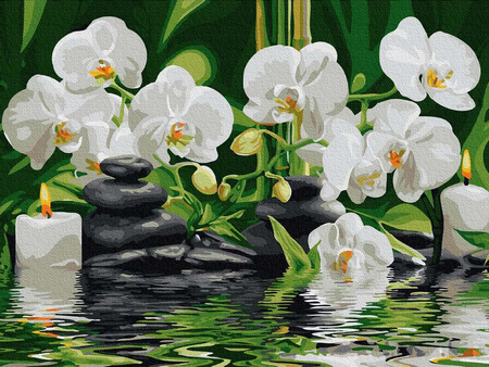 Orchideen in stillem Wasser 30x40 Malen nach Zahlen