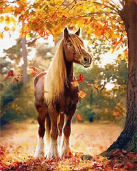 Pferd Malen nach Zahlen