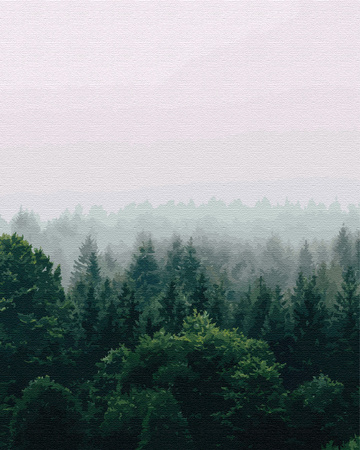 Nebliger Morgen im Herzen des Waldes Malen Nach Zahlen