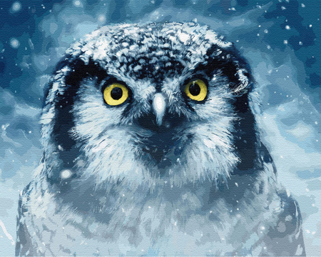 Eine Eule im Wintersturm Malen Nach Zahlen