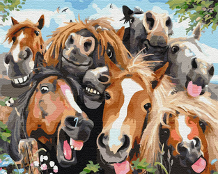 Pferde – Freunde für immer Malen Nach Zahlen