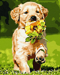 Welpe mit Blume Malen Nach Zahlen