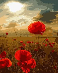 Mohnblumen Malen nach Zahlen ohne Rahmen