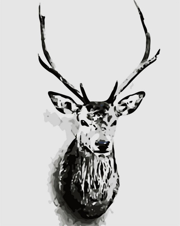 Dunkel gefärbtes Reh Malen nach Zahlen