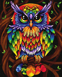 Regenbogeneule Malen Nach Zahlen