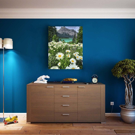 Eine Berglandschaft mit Kamille Malen Nach Zahlen