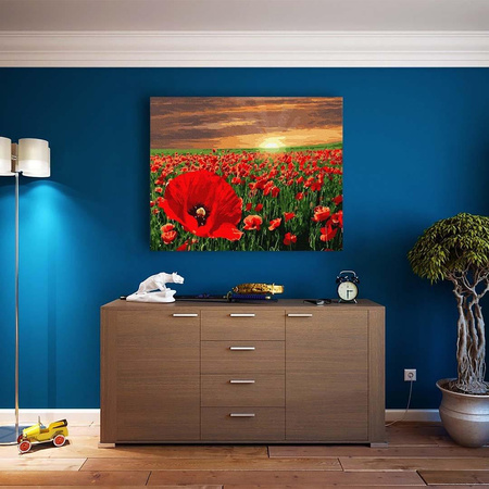 Sonnenuntergang über einem Mohnfeld, das nach Zahlen malt