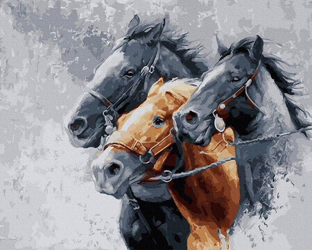 Drei Grazien 65x50cm Malen nach Zahlen