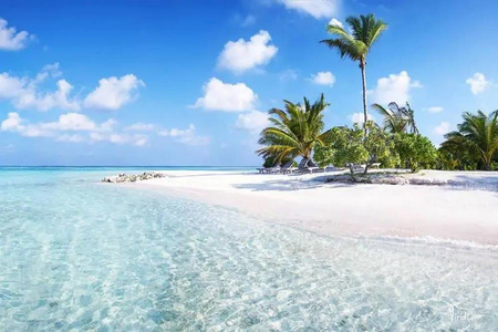 Einsame Insel Malen nach Zahlen