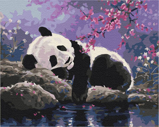 Der süße Traum des Pandas Malen Nach Zahlen