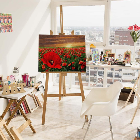 Sonnenuntergang über einem Mohnfeld, das nach Zahlen malt