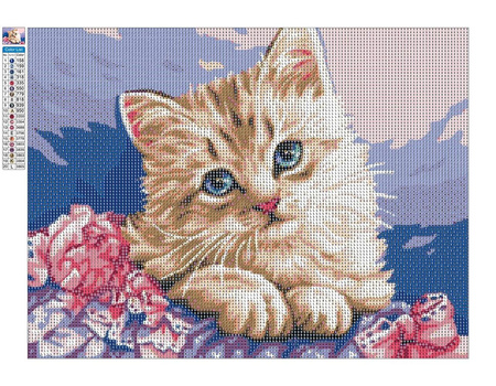 Diamantstickerei ohne Rahmen Blauäugiges Kätzchen 30x40 Diamantmosaik 5D