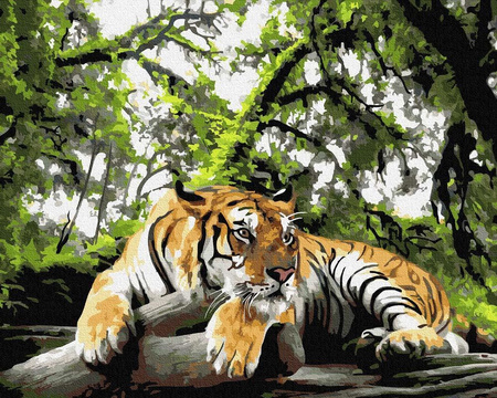 Der König der Löwen Gemälde von 40x50 cm