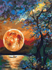 Diamantstickerei ohne Rahmen Mond über dem See 30x40 Diamantmosaik 5D