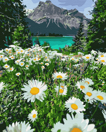 Eine Berglandschaft mit Kamille Malen Nach Zahlen