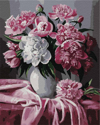 Rosa-weiße Pfingstrosen Malen Nach Zahlen