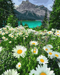 Bergkamille Landschaft Malen nach Zahlen ohne Rahmen