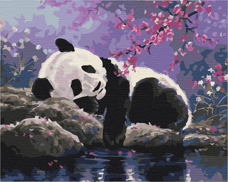 Der süße Traum des Pandas Malen Nach Zahlen