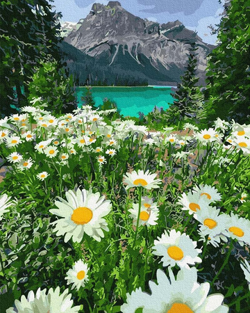 Bergkamille Landschaft Malen nach Zahlen ohne Rahmen