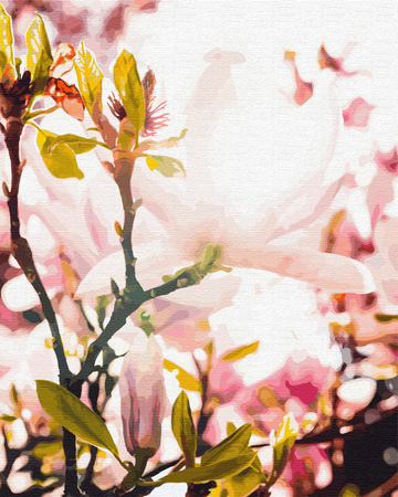 Frühlingsglanz Morgendämmerung Malen Nach Zahlen