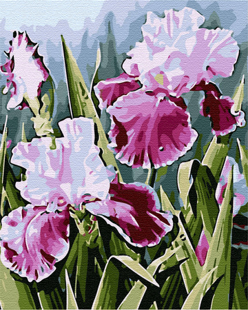 Schwertlilien Malen Nach Zahlen