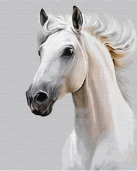 Weißes Pferd Malen Nach Zahlen