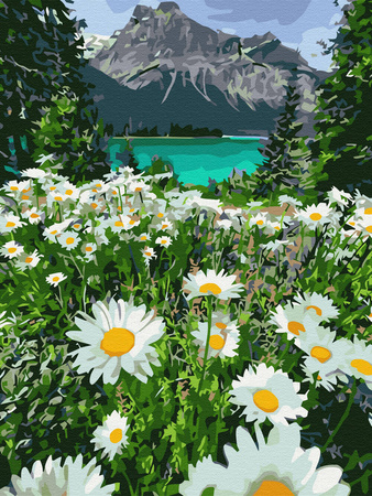 Diamant-Stickerei ohne Rahmen, Bergblumen, Kamillenlandschaft, 30 x 40, Diamant-Mosaik 5D