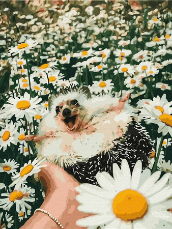 Diamantstickerei ohne Rahmen Igel in Gänseblümchen 30x40 Diamantmosaik 5D