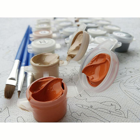 Bunte Katze 40x30 Malen nach Zahlen