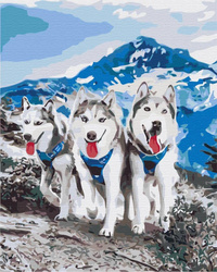 Husky-Freunde Malen Nach Zahlen